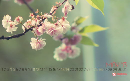 720303 (a): :2689x1686